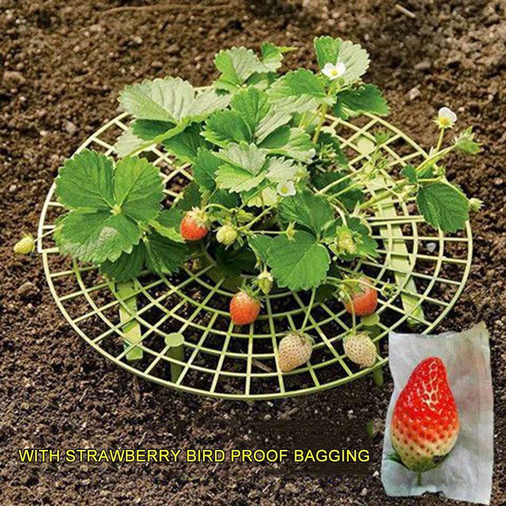 Climbing Flower Plants Vines Pillar Support Gardening Racks Strawberry Stand Flower Climbing Vine Pillar Gardening Stand
Climbing Flower Plants Vines Pillar Support Gardening Racks Strawberry Stand Flower Climbing Vine Pillar Gardening Stand
