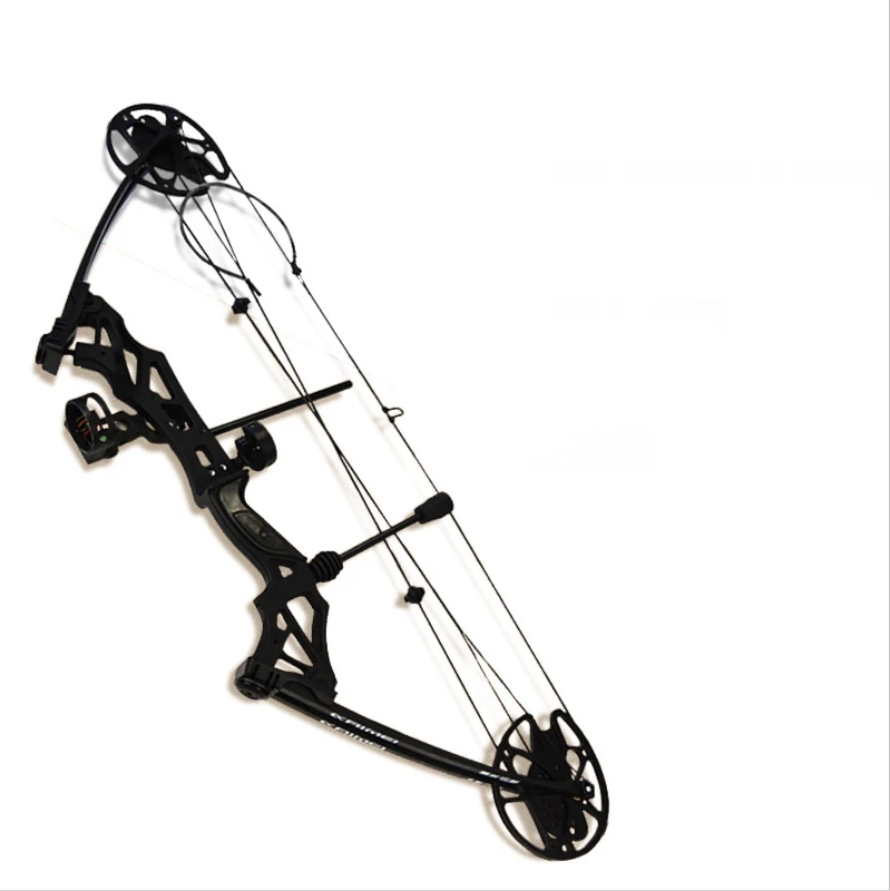 Arco And Professional ArrowArchery Compound Bow Set New Arrival Archery Training Bow Arrow Outdoor Hunting Shooting
Arco And Professional ArrowArchery Compound Bow Set New Arrival Archery Training Bow Arrow Outdoor Hunting Shooting