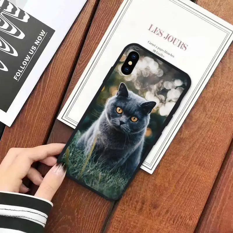 Webbedepp British Shorthair cat Phone Case for iPhone 11 12 mini pro XS MAX 8 7 6 6S Plus X 5S SE 2020 XR
Webbedepp British Shorthair cat Phone Case for iPhone 11 12 mini pro XS MAX 8 7 6 6S Plus X 5S SE 2020 XR