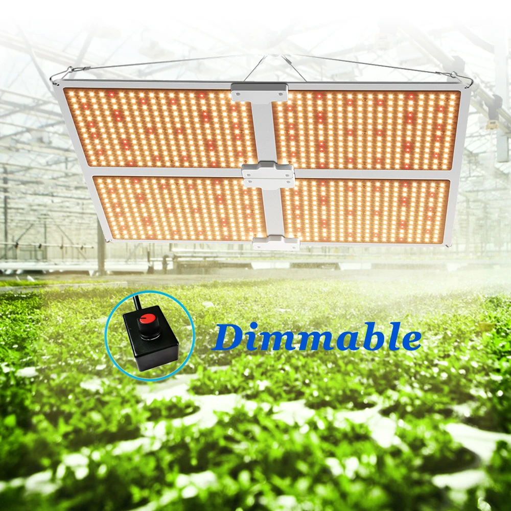 110W 220W 450W Samsung LM301H LED Grow Light Indoor Full spectrum Quantum Tech Board Grow Lamps For Greenhuose Veg Flower
110W 220W 450W Samsung LM301H LED Grow Light Indoor Full spectrum Quantum Tech Board Grow Lamps For Greenhuose Veg Flower