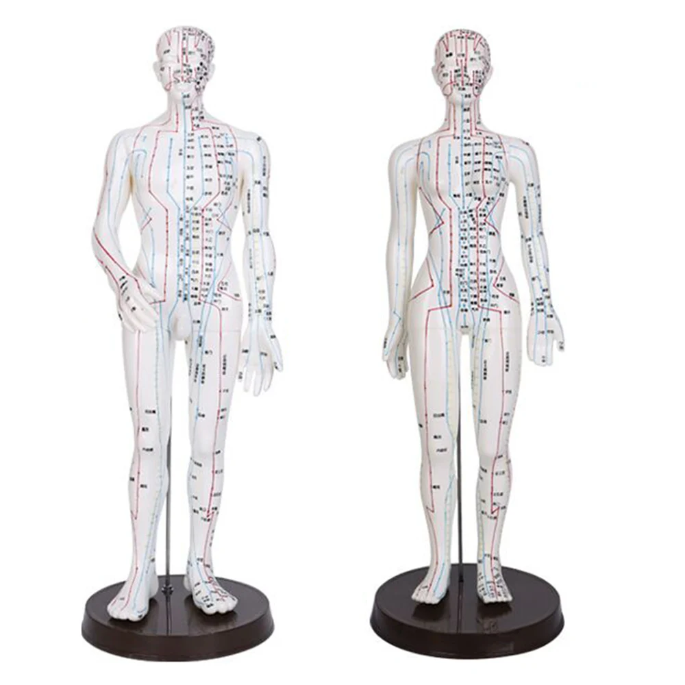 Аниме-фигурка для рисования Мужская/Женская, 52 см 
Аниме-фигурка для рисования Мужская/Женская, 52 см