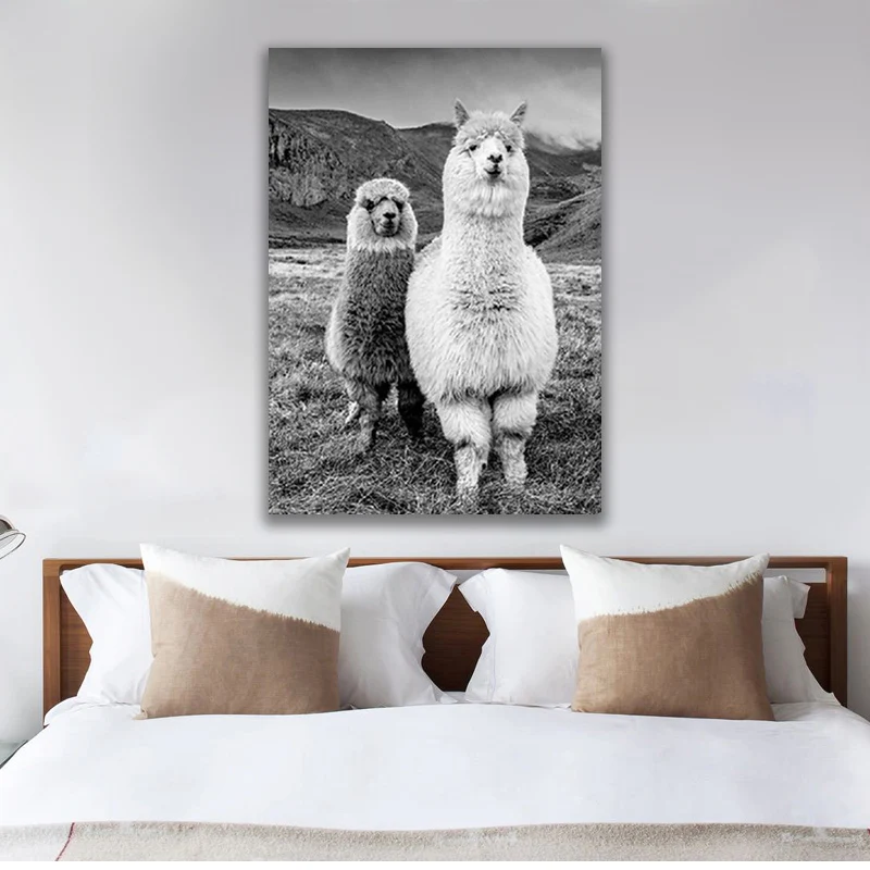 Black and White Animal Alpaca Llama Poster Canvas Art Painting Posters and Prints Wall Art Pictures for Home Decor 
Black and White Animal Alpaca Llama Poster Canvas Art Painting Posters and Prints Wall Art Pictures for Home Decor