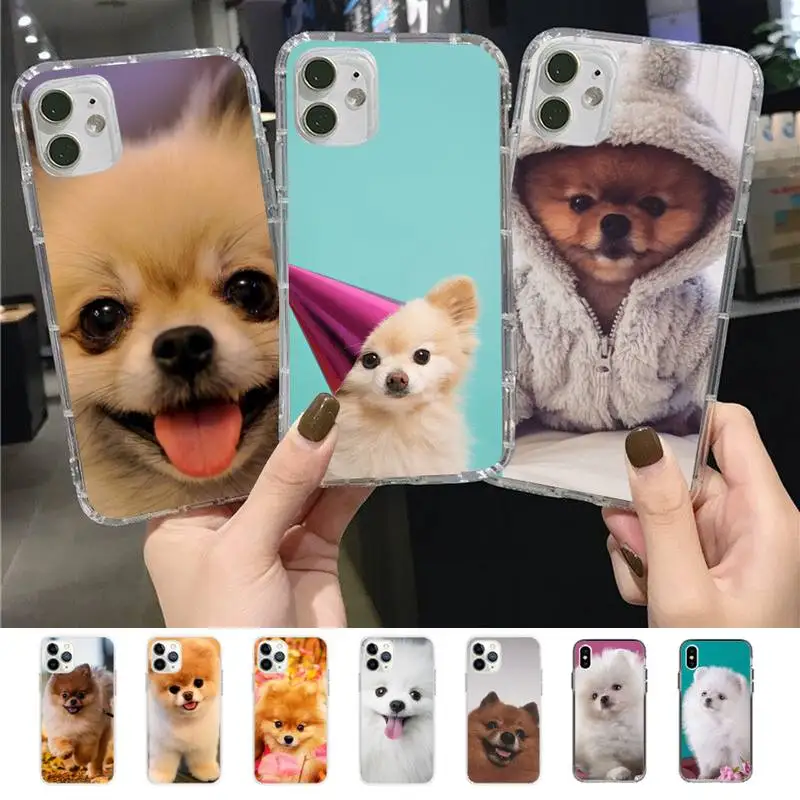 Pomeranian dogs dog Colorful Cute Phone Case for iPhone 11 12 13 mini pro XS MAX 8 7 6 6S Plus X 5S SE 2020 XR
Pomeranian dogs dog Colorful Cute Phone Case for iPhone 11 12 13 mini pro XS MAX 8 7 6 6S Plus X 5S SE 2020 XR