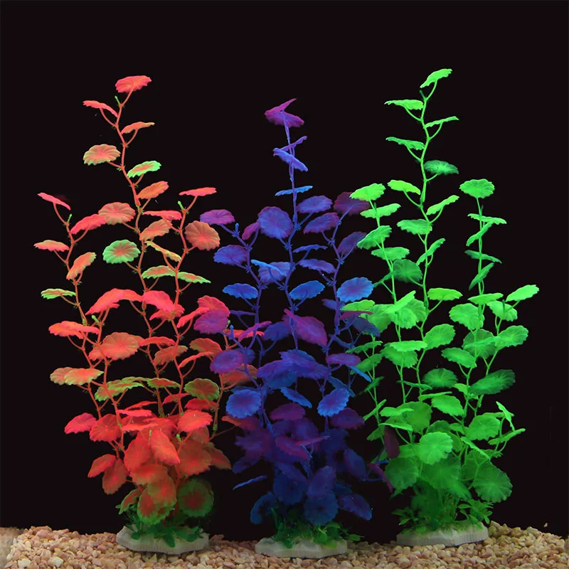 1 Piece 2022 New Simulation Aquatic Plants Aquarium Landscaping Fake Ornaments Plants Artificial Home Garden Decoration DIY Gift
1 Piece 2022 New Simulation Aquatic Plants Aquarium Landscaping Fake Ornaments Plants Artificial Home Garden Decoration DIY Gift