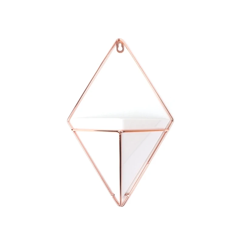 Geometric Wall Hanging Flower Pot Decorative Flower Basket Wall Mount Succulent Plant Pot
Geometric Wall Hanging Flower Pot Decorative Flower Basket Wall Mount Succulent Plant Pot
