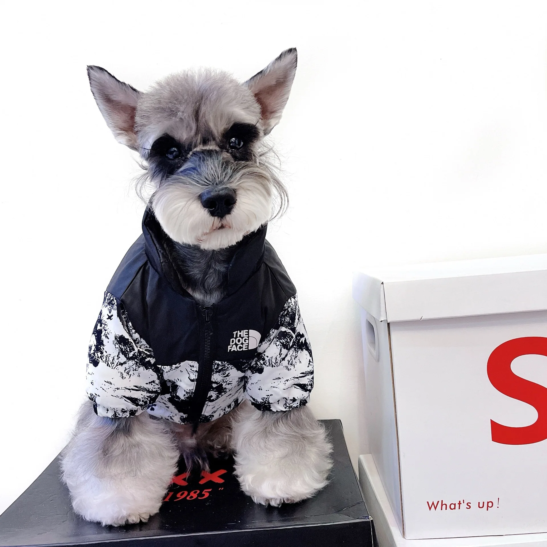 Fashion Designer Pet Dog Clothes for Small Dogs Clothing French Bulldog Fashion Warm Down Jackets for Yorkies Apparel PC1682
Fashion Designer Pet Dog Clothes for Small Dogs Clothing French Bulldog Fashion Warm Down Jackets for Yorkies Apparel PC1682