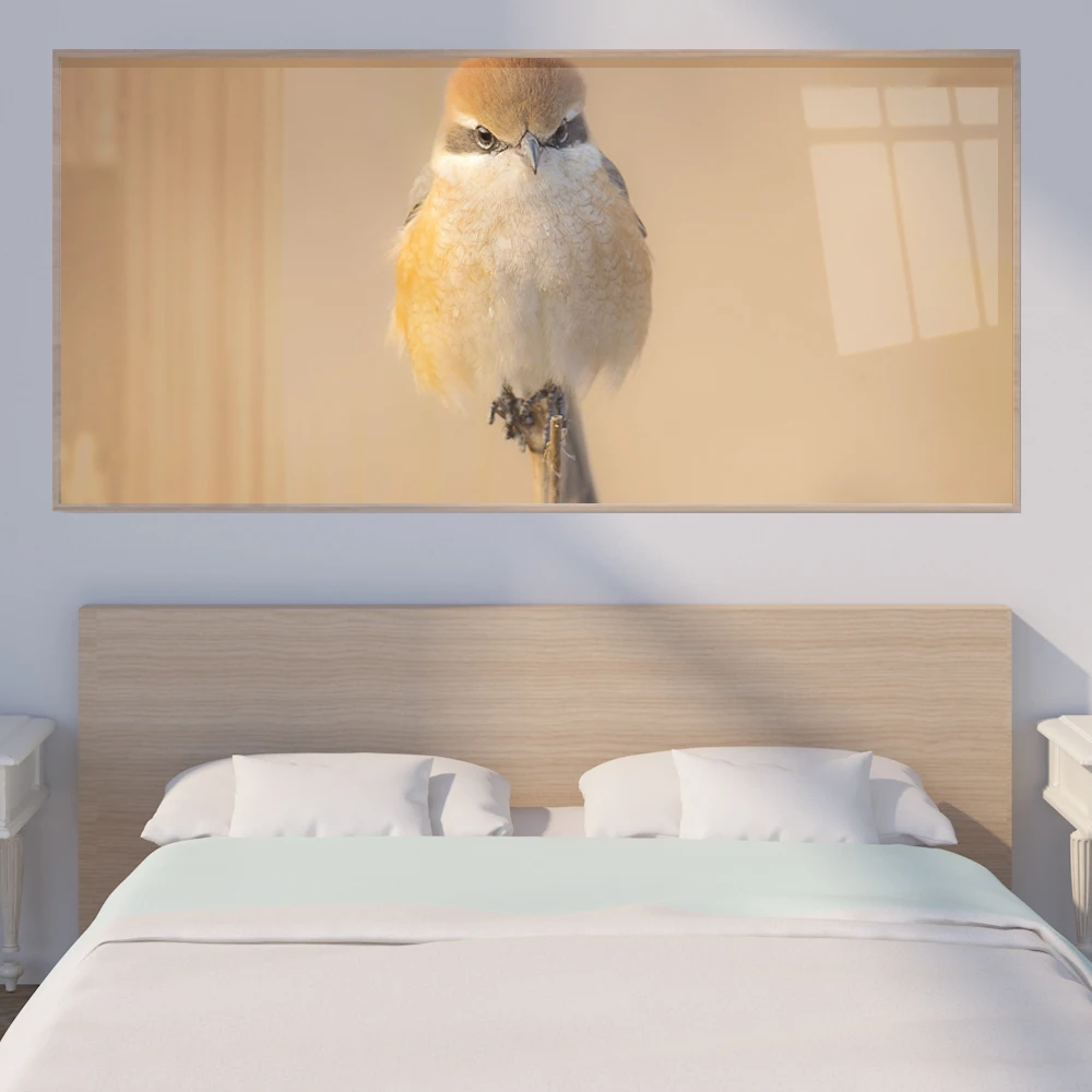 Animal oil painting red crown bird yellow gray feather bird canvas painting office living room corridor home decoration mural
Animal oil painting red crown bird yellow gray feather bird canvas painting office living room corridor home decoration mural