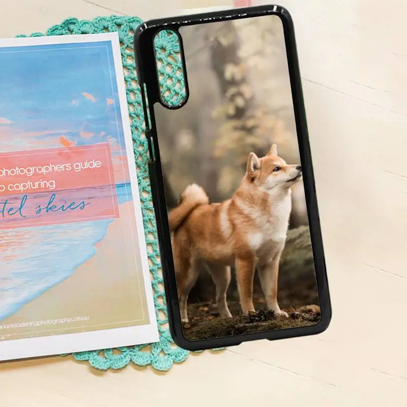 shiba inu cute dog animal Phone Case PC for iPhone 11 12 pro XS MAX 8 7 6 6S Plus X 5S SE 2020 XR
shiba inu cute dog animal Phone Case PC for iPhone 11 12 pro XS MAX 8 7 6 6S Plus X 5S SE 2020 XR