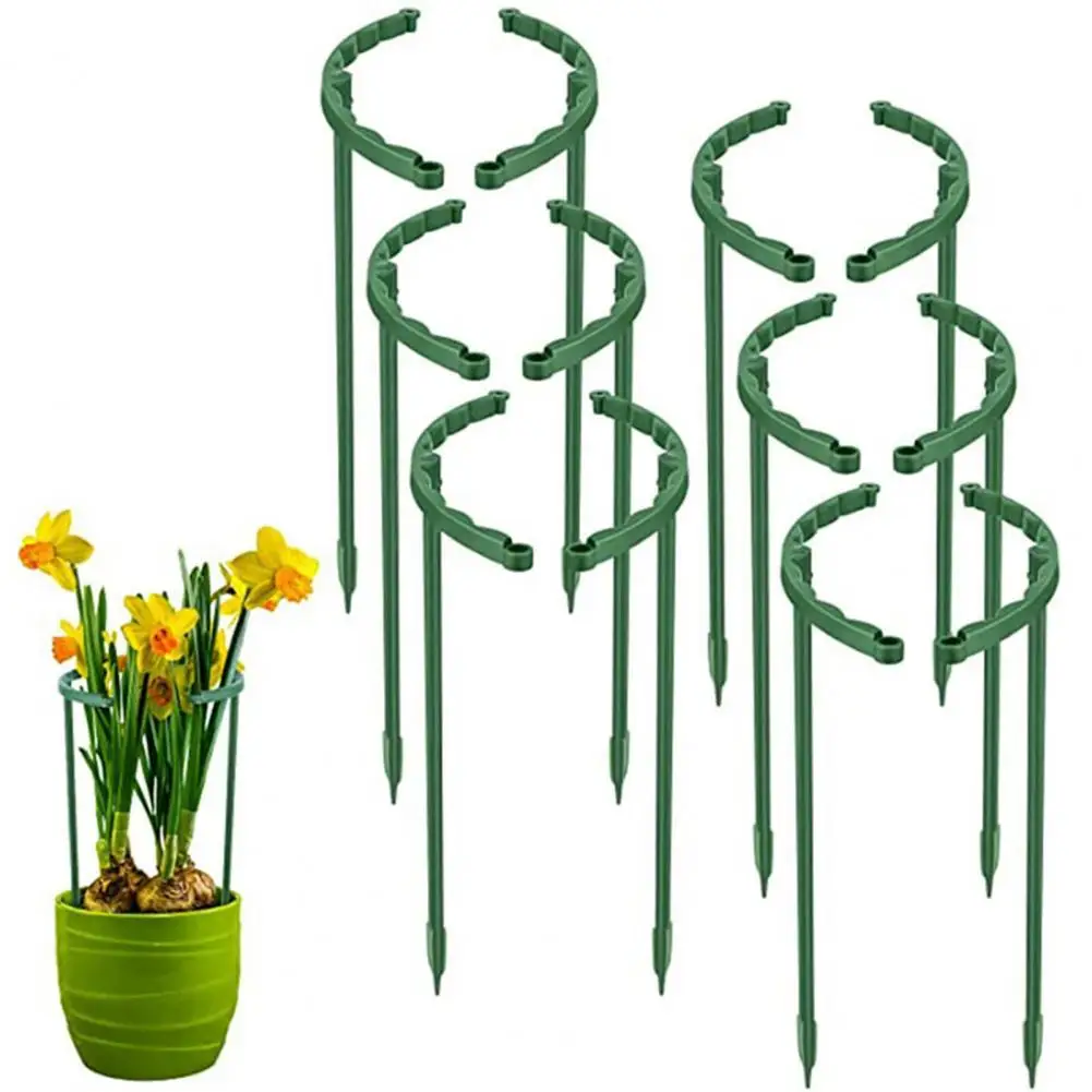 6Pcs Half Round Plant Support Stake Weather Resistant Plastic Tomato Planting Flower Support Ring for Garden
6Pcs Half Round Plant Support Stake Weather Resistant Plastic Tomato Planting Flower Support Ring for Garden