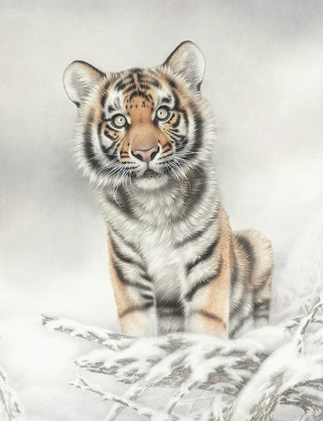 Wildlife Tiger Oil Painting Study Room Living Room Decoration Metal Signage Home Kitchen Office Retro
Wildlife Tiger Oil Painting Study Room Living Room Decoration Metal Signage Home Kitchen Office Retro