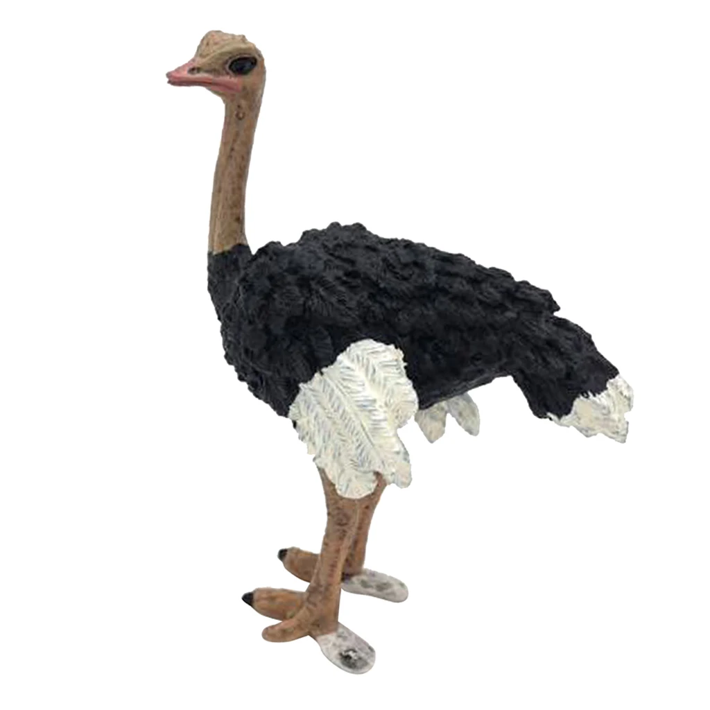 Фото Фигурки животных модель фигурки для детей коллекция игрушек учение страуса