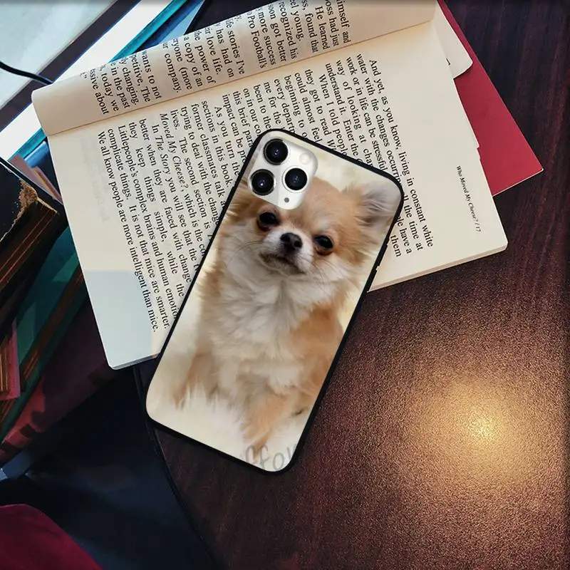 cute lovely Animal Chihuahua dog Phone Case for iPhone 11 12 pro XS MAX 8 7 6 6S Plus X 5S SE 2020 XR Soft silicone
cute lovely Animal Chihuahua dog Phone Case for iPhone 11 12 pro XS MAX 8 7 6 6S Plus X 5S SE 2020 XR Soft silicone