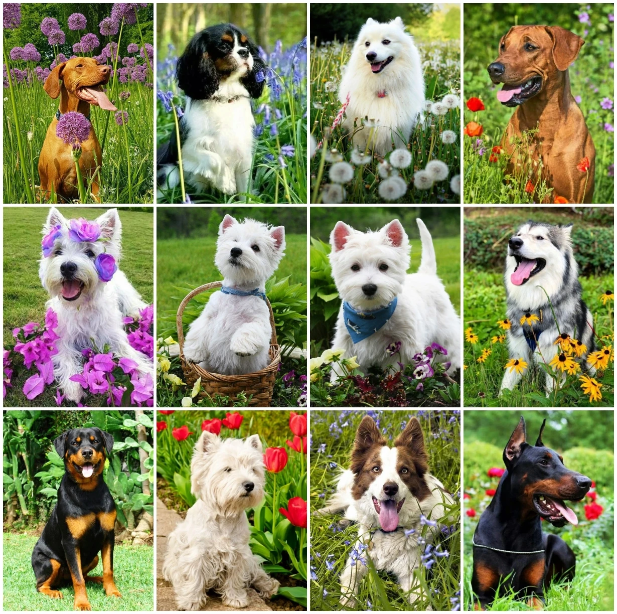 AZQSD Diamond Embroidery Dog Flower Mosaic Rhinestones Handmade 5D Diamond Painting Animal Cross Stitch Home Decoration Gift
AZQSD Diamond Embroidery Dog Flower Mosaic Rhinestones Handmade 5D Diamond Painting Animal Cross Stitch Home Decoration Gift