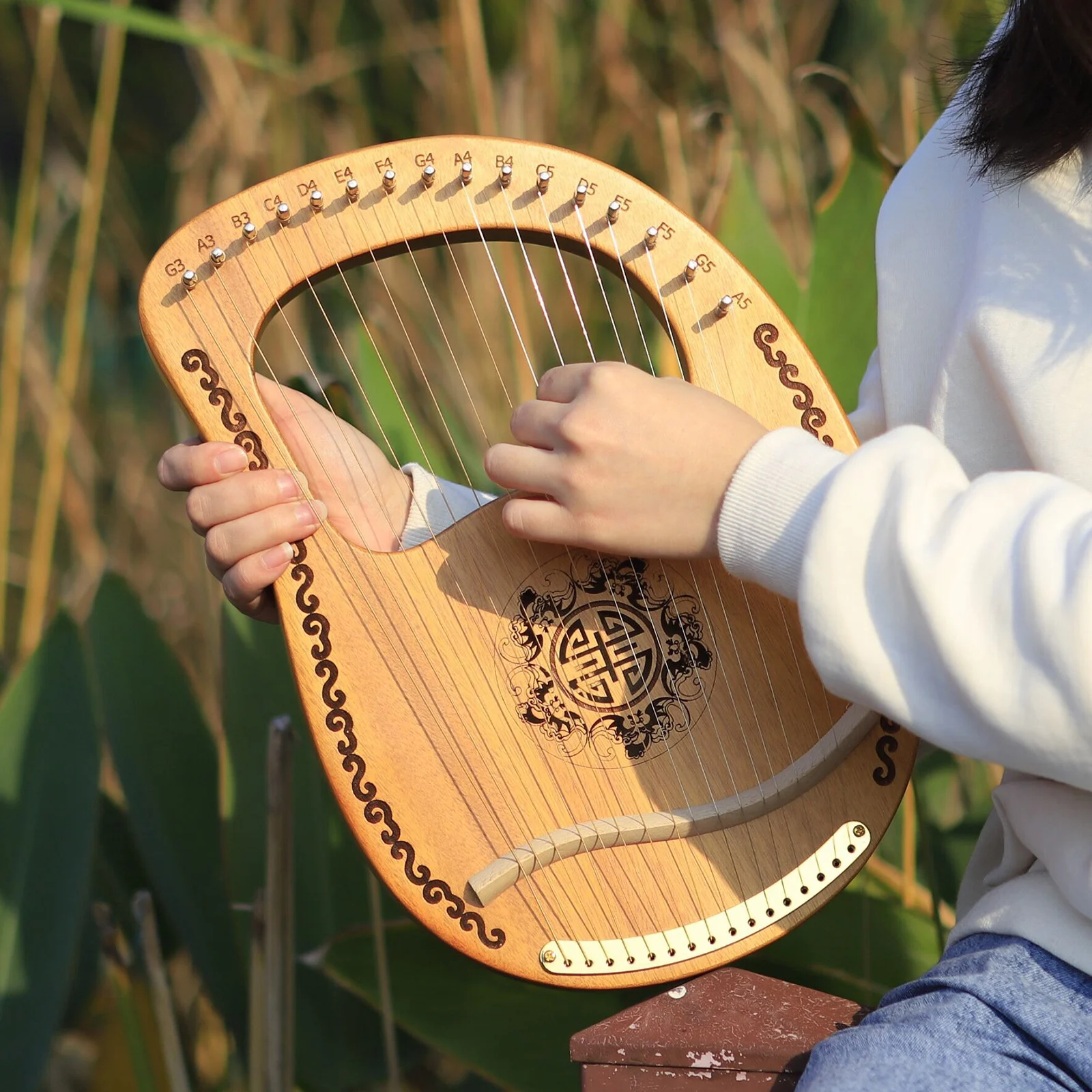 Красное дерево 16 струн Lyre Harp ирландская шотландская 16 металлическая струна Lyre Harp Изысканный резной струнный инструмент
Красное дерево 16 струн Lyre Harp ирландская шотландская 16 металлическая струна Lyre Harp Изысканный резной струнный инструмент