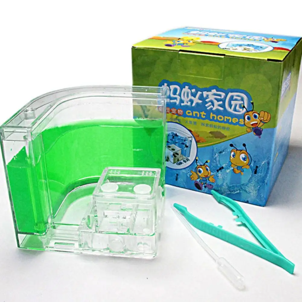Acrylic Ant Farm Castle Ant Farm Colorful Insect Terrarium Cage Insect Box Eco-friendly Kid Educational Model 2021
Acrylic Ant Farm Castle Ant Farm Colorful Insect Terrarium Cage Insect Box Eco-friendly Kid Educational Model 2021