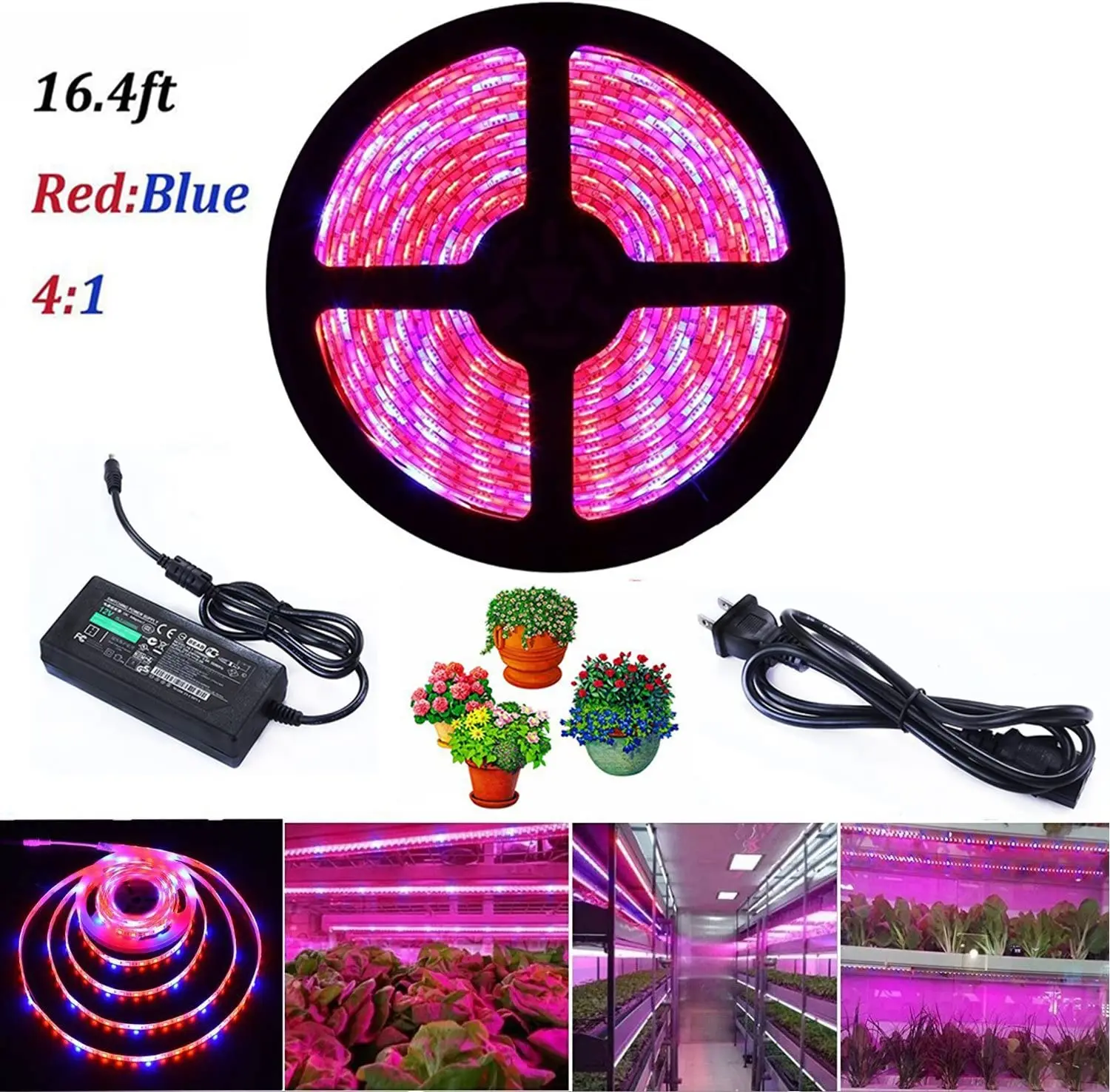 LED Grow Strip Light Full Spectrum 12V Grow Light Strip LED Phyto Lamps Waterproof Strip Lights For Greenhouse Hydroponic Plant
LED Grow Strip Light Full Spectrum 12V Grow Light Strip LED Phyto Lamps Waterproof Strip Lights For Greenhouse Hydroponic Plant