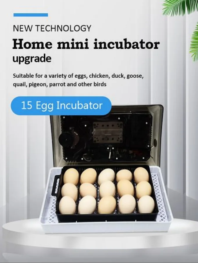 Automatic Digital Poultry Incubator Temperature Control And Automatic LED Candle Holder Mini 12-35 Incubator For Chickens
Automatic Digital Poultry Incubator Temperature Control And Automatic LED Candle Holder Mini 12-35 Incubator For Chickens