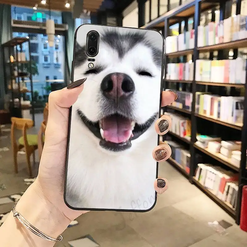 Husky cute Puppy Dog Animal Anti-fall mobile Phone Case coque For Huawei honor Mate P 10 20 30 40 Pro 10i 9 10 20 8 x Lite 
Husky cute Puppy Dog Animal Anti-fall mobile Phone Case coque For Huawei honor Mate P 10 20 30 40 Pro 10i 9 10 20 8 x Lite