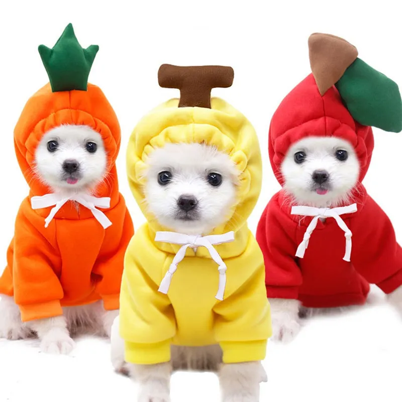 Dog Sweater Thin Pet Clothes Kitten Dog Clothes Fruit Sweater Dogs Cats Fruits Pets Autumn And Winter Sweaters
Dog Sweater Thin Pet Clothes Kitten Dog Clothes Fruit Sweater Dogs Cats Fruits Pets Autumn And Winter Sweaters
