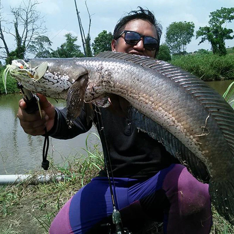 TSURINOYA Spinner Bait 7g 10g Buzzbait Fishing Lures Metal Jig Isca Artificial Pesca Feeder Fishing Carp Spinners Spoon Bait
TSURINOYA Spinner Bait 7g 10g Buzzbait Fishing Lures Metal Jig Isca Artificial Pesca Feeder Fishing Carp Spinners Spoon Bait