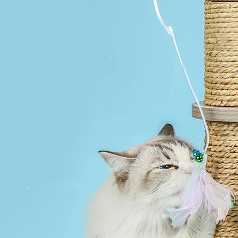 NEW PRODUCT GOODS BEAUTIFUL 100% Good Cheap Pet Cat Degree Laser Projection + Stepless Variable Speed One-Click Switch
NEW PRODUCT GOODS BEAUTIFUL 100% Good Cheap Pet Cat Degree Laser Projection + Stepless Variable Speed One-Click Switch