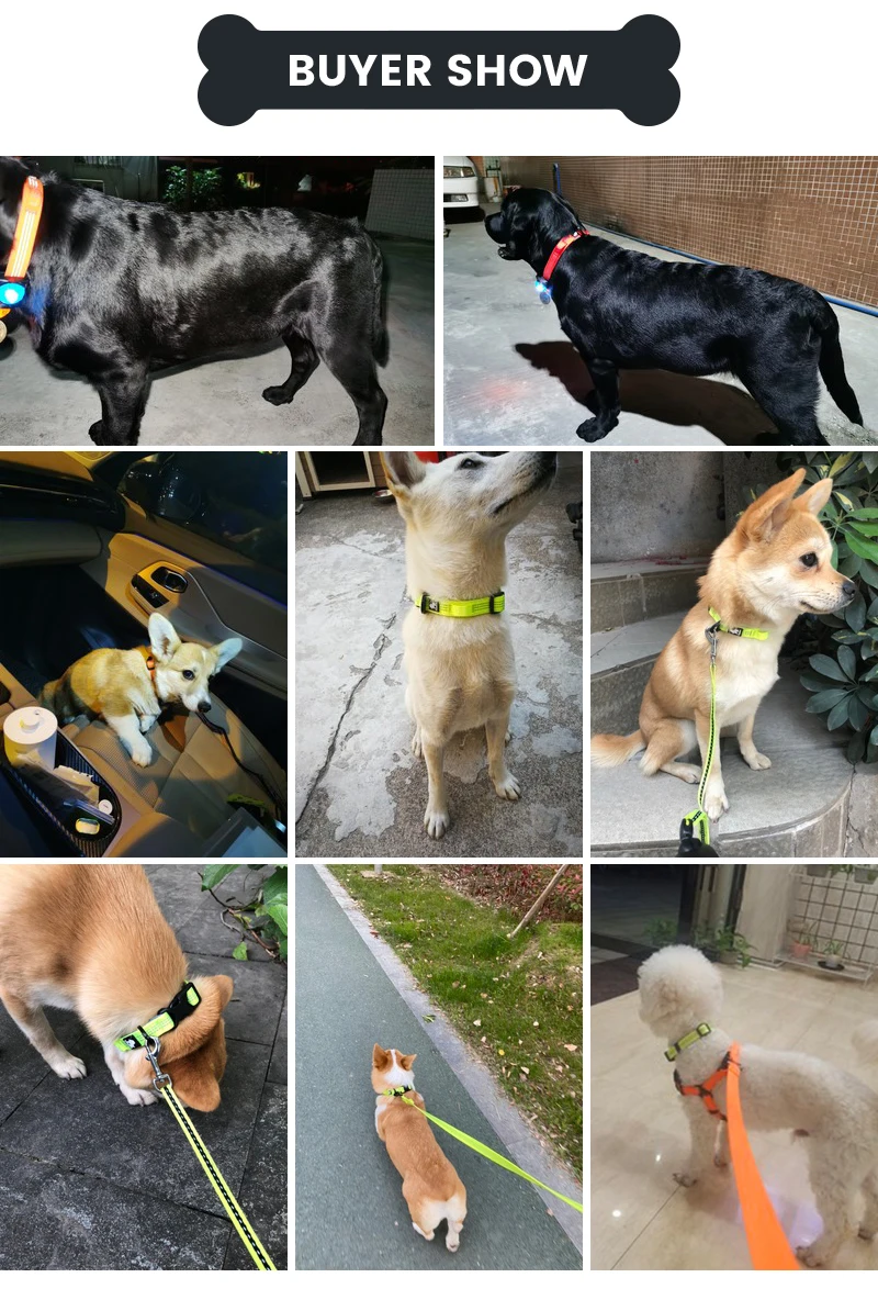 Truelove Dog Collars Set 3M Reflective Collar for Small Medium Large Dogs Puppy Adjustable Padded Soft Nylon Comfy Neck
Truelove Dog Collars Set 3M Reflective Collar for Small Medium Large Dogs Puppy Adjustable Padded Soft Nylon Comfy Neck