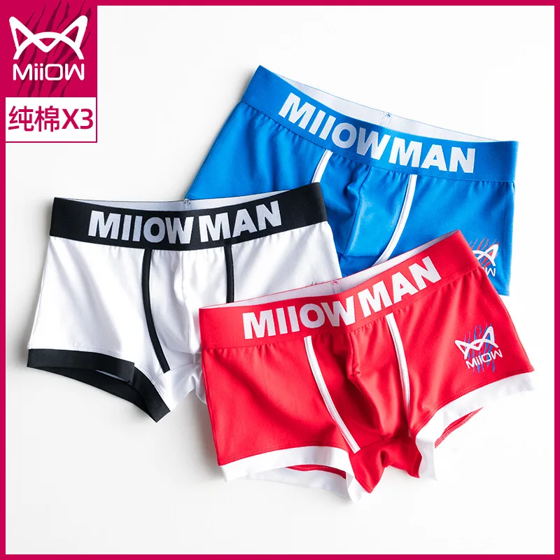 3PCS Men's Underwear Pure Cotton Loose Breathable Boxer Shorts Sports Shorts001162 youpin
3PCS Men's Underwear Pure Cotton Loose Breathable Boxer Shorts Sports Shorts001162 youpin