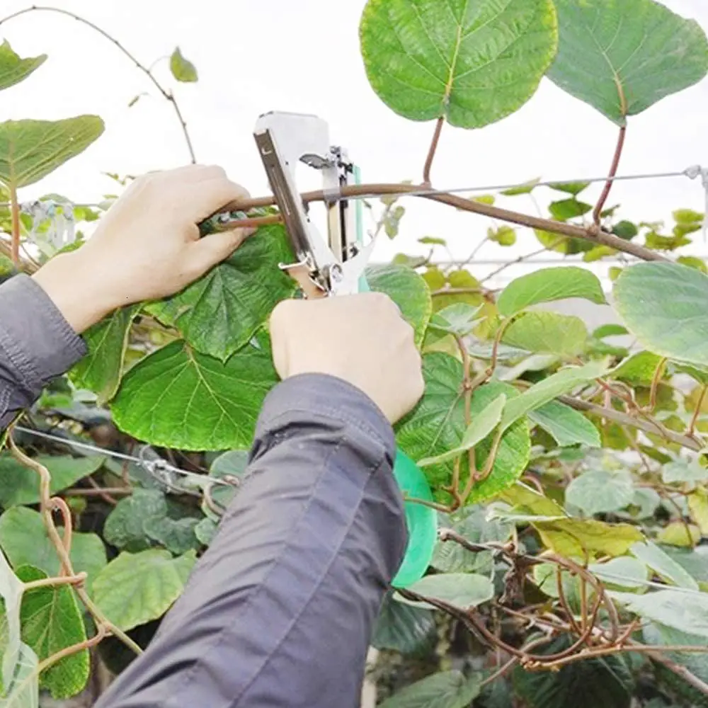 Plant Tying Machine Gardening Tapetool Tapener Gun For Vegetable Grape Tomato Cucumber And Flower Garden Tools Gardena Bonsai
Plant Tying Machine Gardening Tapetool Tapener Gun For Vegetable Grape Tomato Cucumber And Flower Garden Tools Gardena Bonsai