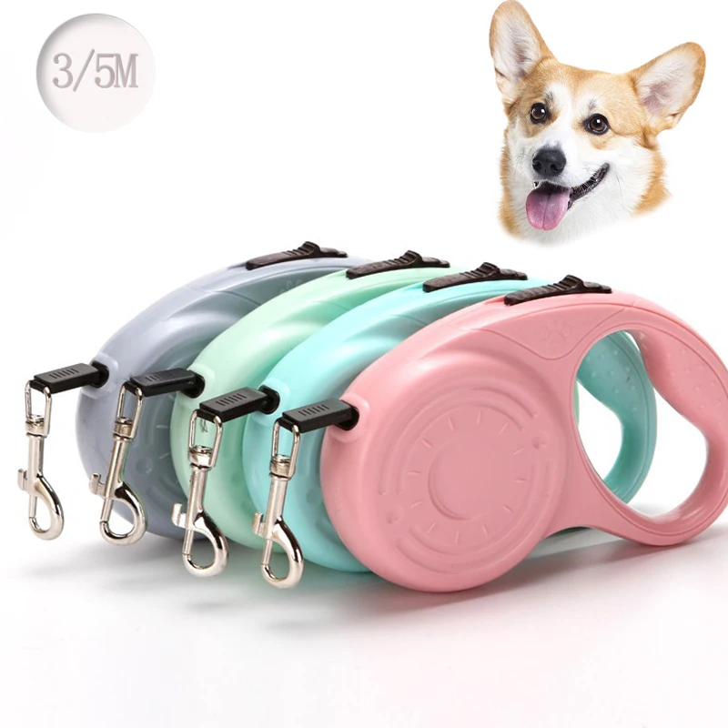 Автоматический поводок для собак, выдвижная Тяговая веревка, регулируемая Выдвижная веревка для собак и кошек, аксессуары для прогулок на о...
Автоматический поводок для собак, выдвижная Тяговая веревка, регулируемая Выдвижная веревка для собак и кошек, аксессуары для прогулок на о...