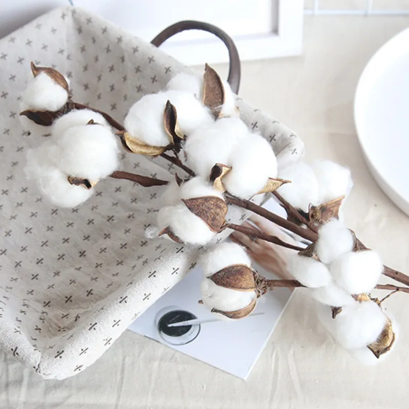 5pcs Cotton Stems With 10 Cotton Heads Fake Cotton Flowers Artificial Flowers Plant Decoration Home Farmhouse Wedding Decoration
5pcs Cotton Stems With 10 Cotton Heads Fake Cotton Flowers Artificial Flowers Plant Decoration Home Farmhouse Wedding Decoration