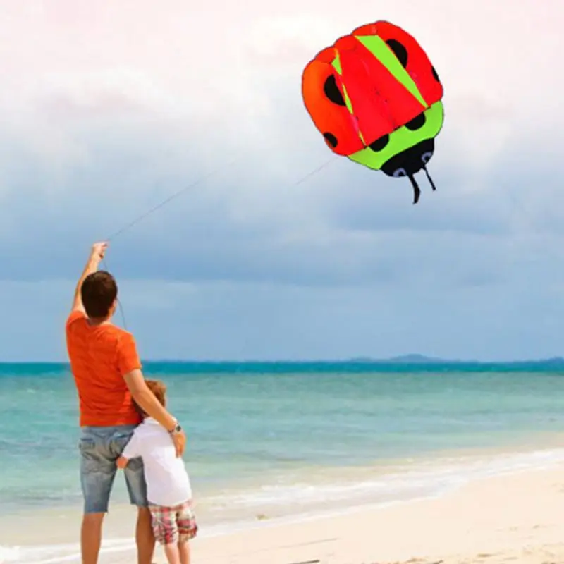 3D Large Cute Cartoon Ladybug Beach Kites Frameless Soft Entertainment Sports Family Outdoor Holiday Parent-child Activities Sup
3D Large Cute Cartoon Ladybug Beach Kites Frameless Soft Entertainment Sports Family Outdoor Holiday Parent-child Activities Sup