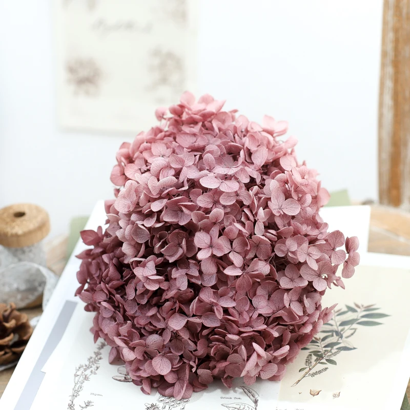 Immortal dried flower 20G DIY material Grade A Anna Folium Hydrangea polychrome wedding decoration table centerpieces wholesale
Immortal dried flower 20G DIY material Grade A Anna Folium Hydrangea polychrome wedding decoration table centerpieces wholesale