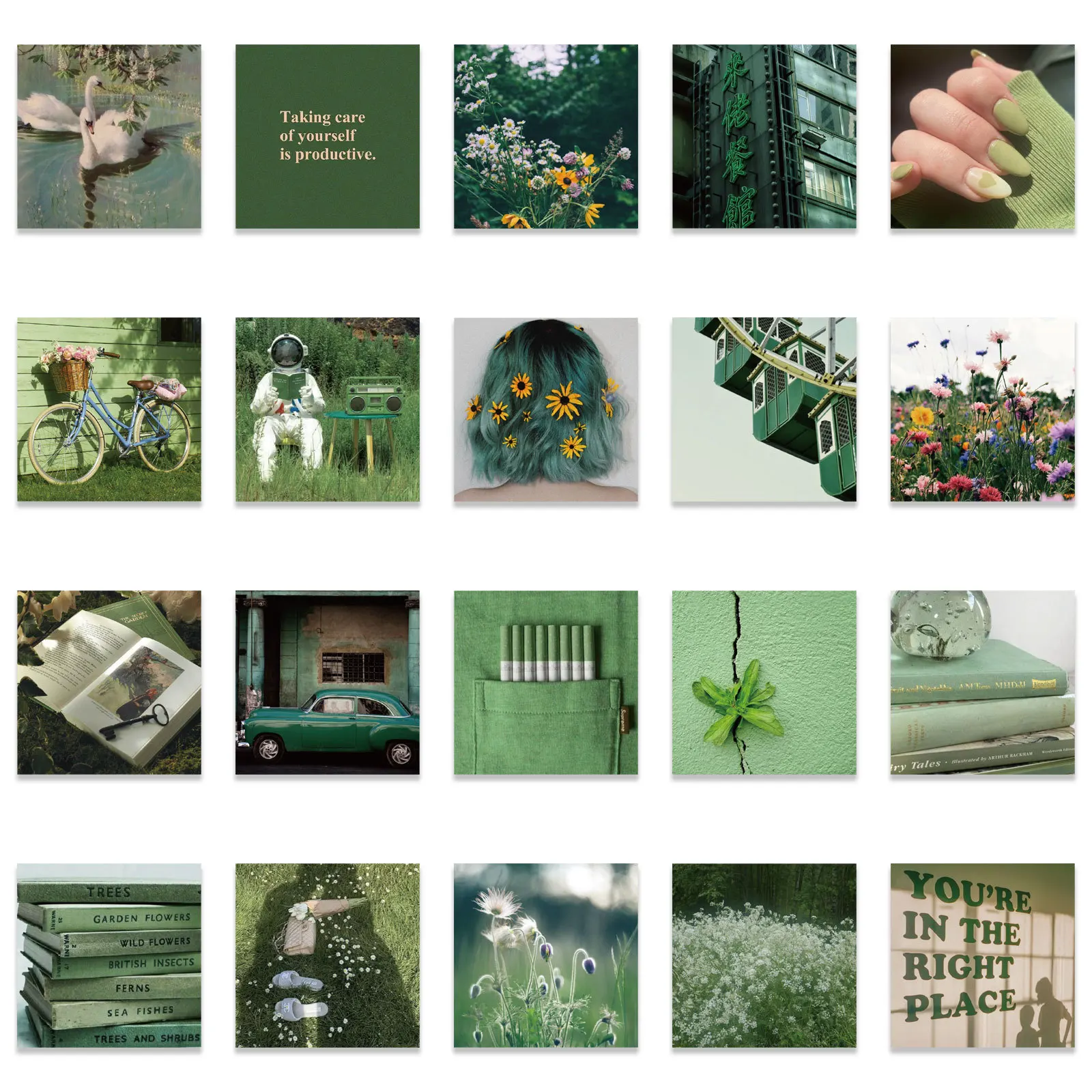 10/30/56pcs Green Landscape Map Skateboard Travel Suitcase Phone Laptop Luggage Classic Stickers Pencil Cases Home Decor
10/30/56pcs Green Landscape Map Skateboard Travel Suitcase Phone Laptop Luggage Classic Stickers Pencil Cases Home Decor