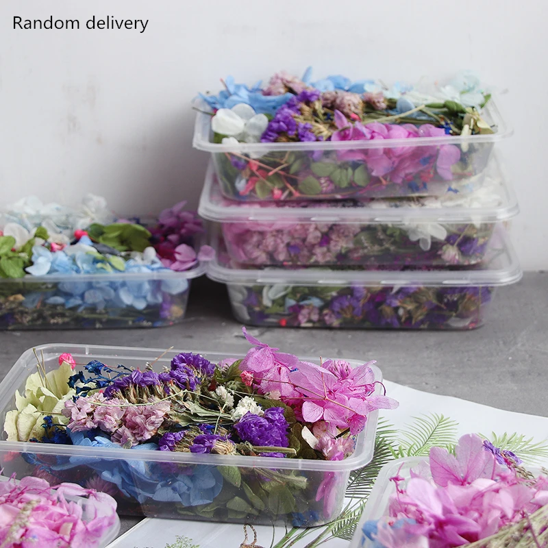 1 Box Real Mix Dried Flower For Aromatherapy Candle Epoxy Resin Pendant Necklace Jewelry Making Craft DIY Accessories XJ44
1 Box Real Mix Dried Flower For Aromatherapy Candle Epoxy Resin Pendant Necklace Jewelry Making Craft DIY Accessories XJ44