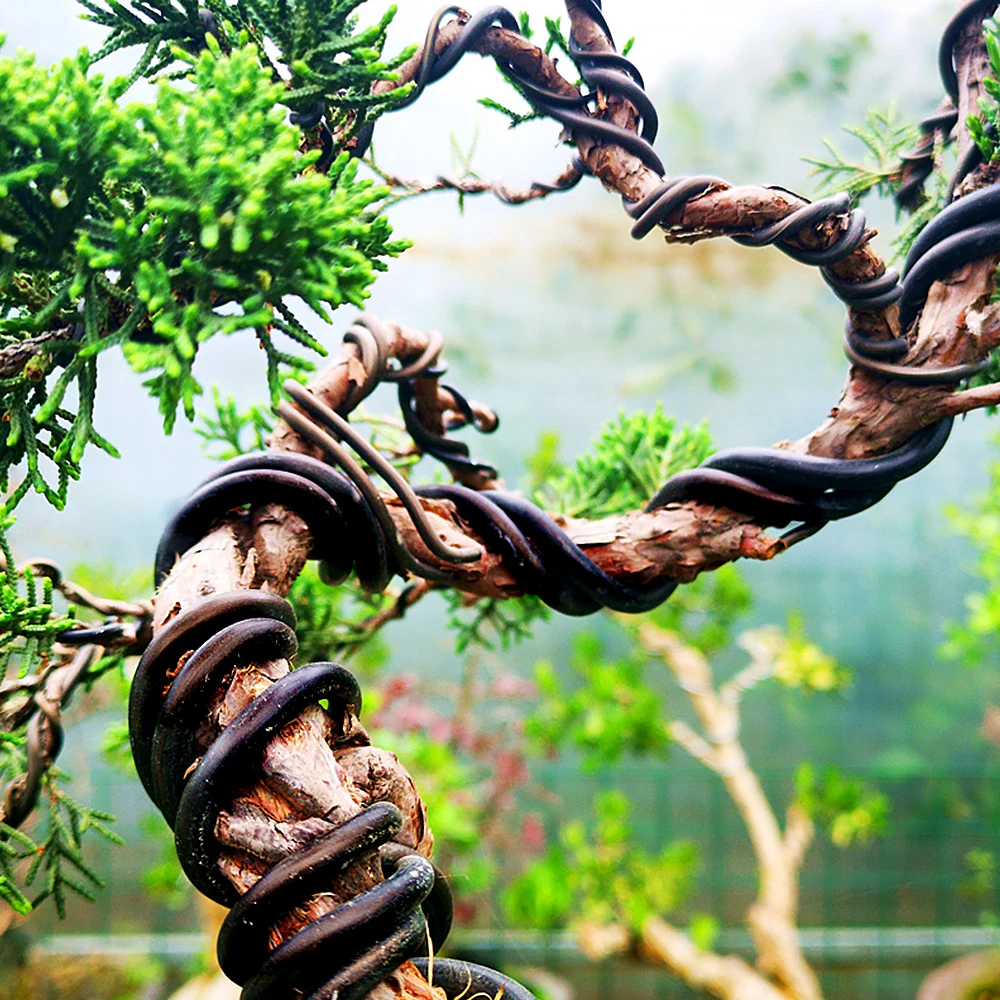 Garden Bonsai Shape Aluminum Wire (1.0mm, 1.5mm, 2.0mm, 3mm, 4mm, 5mm) Black Six Sizes for Garden and Plant Shapes
Garden Bonsai Shape Aluminum Wire (1.0mm, 1.5mm, 2.0mm, 3mm, 4mm, 5mm) Black Six Sizes for Garden and Plant Shapes