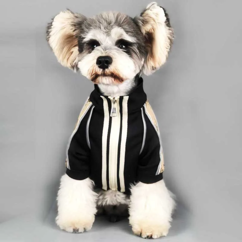 Fashion Designer Dog Clothes for Small Dogs Reflective Stripe Dog Coat for French Bulldog Jacket Dogs Pets Clothing A103
Fashion Designer Dog Clothes for Small Dogs Reflective Stripe Dog Coat for French Bulldog Jacket Dogs Pets Clothing A103