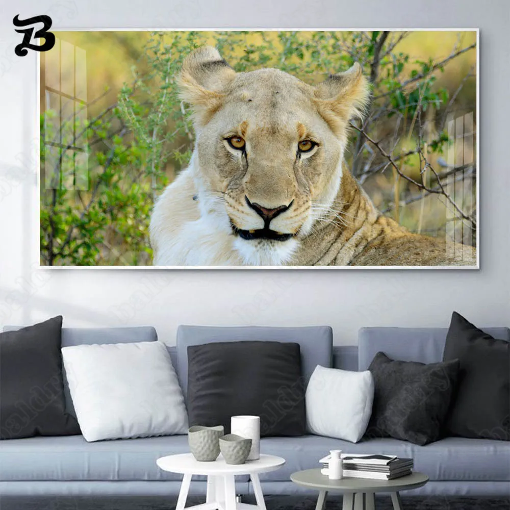 Canvas Painting Wall Art Modern Animals Grassland Lions Scenery Canvas Posters and Prints for Living Room Home Wall Decoration
Canvas Painting Wall Art Modern Animals Grassland Lions Scenery Canvas Posters and Prints for Living Room Home Wall Decoration