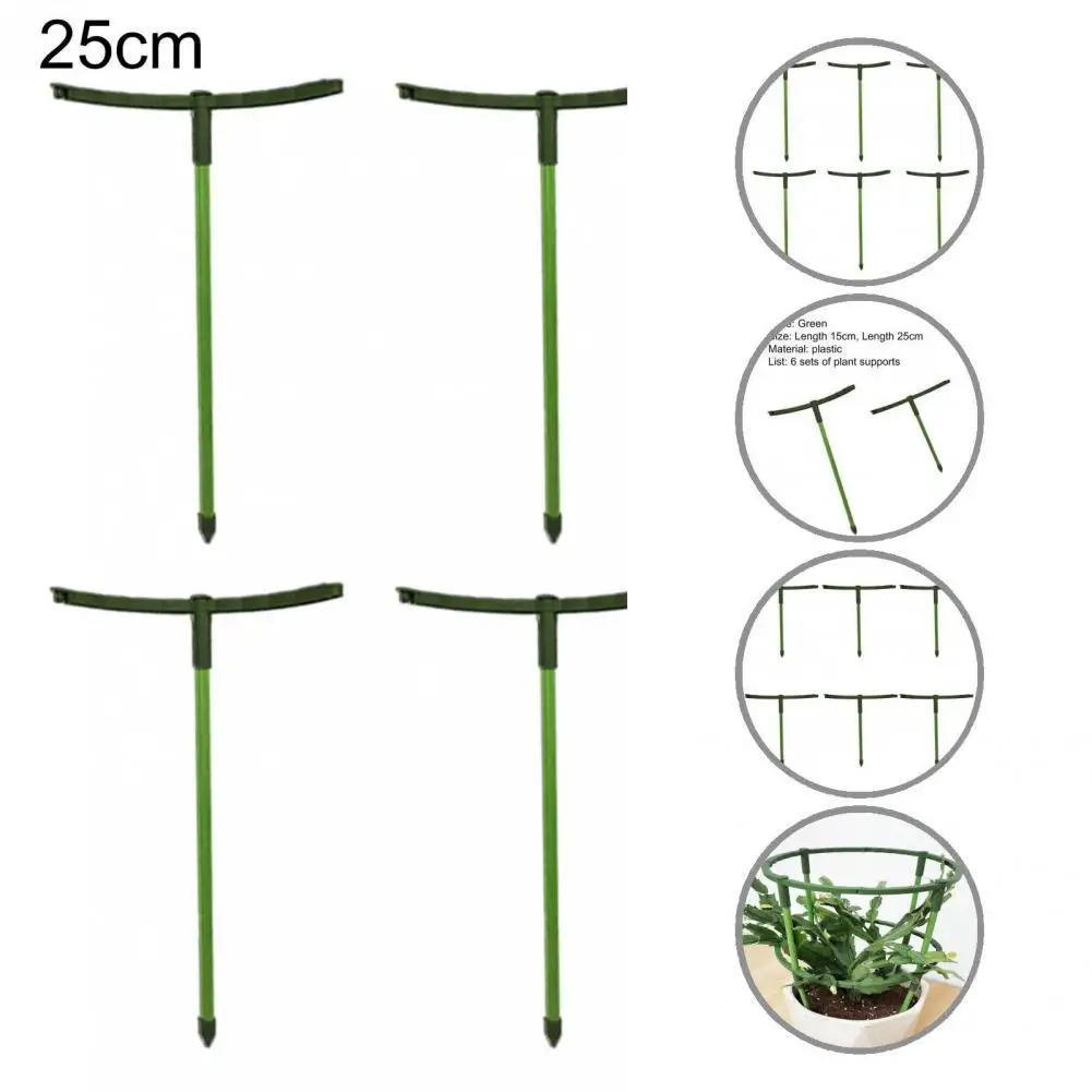 6 шт./набор, многофункциональный съемный держатель для бонсай 
6 шт./набор, многофункциональный съемный держатель для бонсай