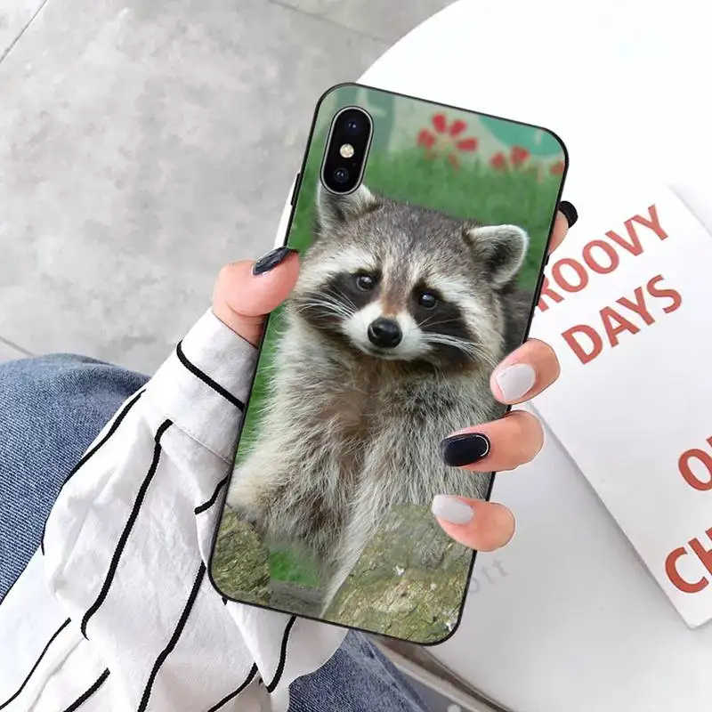 animal Raccoon Phone Case for iPhone 11 12 mini pro XS MAX 8 7 6 6S Plus X 5S SE 2020 XR
animal Raccoon Phone Case for iPhone 11 12 mini pro XS MAX 8 7 6 6S Plus X 5S SE 2020 XR