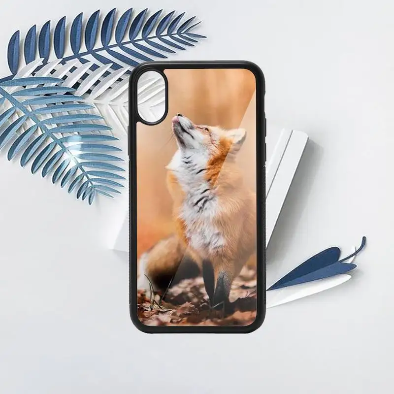 Red Fox Phone Cases TPU For iPhone X XR XS 11 12 mini Pro MAX 6 6S 7 8 Plus SE 2020
Red Fox Phone Cases TPU For iPhone X XR XS 11 12 mini Pro MAX 6 6S 7 8 Plus SE 2020