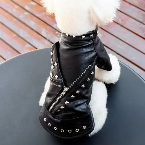 Pet Fashion Leather Clothes Dog Clothes Winter Cat Teddy Puppy Chihuahua Autumn and Winter Pet Clothing
Pet Fashion Leather Clothes Dog Clothes Winter Cat Teddy Puppy Chihuahua Autumn and Winter Pet Clothing