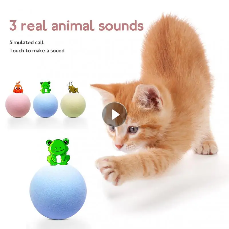 1-3pcs Interactive Pest Cat Supplies Gravity Ball Insect Calling Cat Toys Wool Ball Sounding Cat Interactive Toys Catnip Toys
1-3pcs Interactive Pest Cat Supplies Gravity Ball Insect Calling Cat Toys Wool Ball Sounding Cat Interactive Toys Catnip Toys