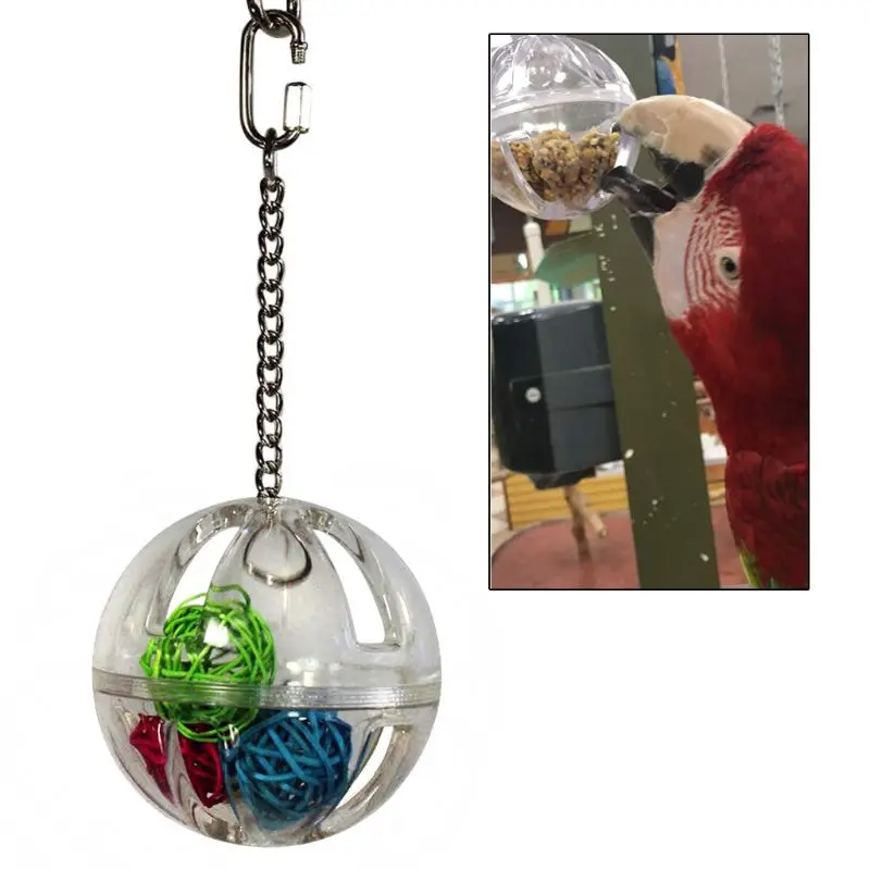 Parrot Chew Toy Hanging Foraging Ball with Balls Inside Bird Cage Acrylic Stand
Parrot Chew Toy Hanging Foraging Ball with Balls Inside Bird Cage Acrylic Stand