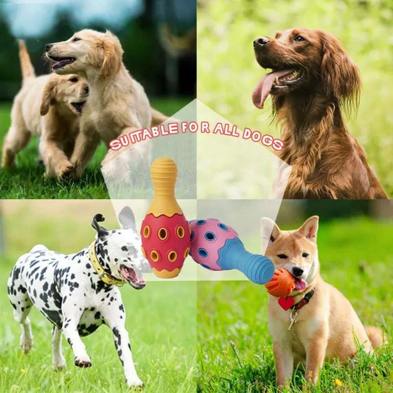Puzzle Resistant Biting Teeth Dog Chew Toys Multifunctional Pet Accessories Pet Vocal Leaking Bowling Ball Toys For Chihuahua
Puzzle Resistant Biting Teeth Dog Chew Toys Multifunctional Pet Accessories Pet Vocal Leaking Bowling Ball Toys For Chihuahua