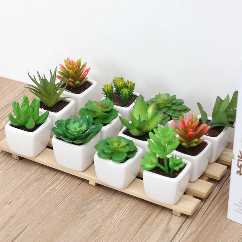 Creative Simulation Flower Plant Bonsai Succulent Plant Potted Indoor Flower Potted Bonsai Home Decoration Ornaments
Creative Simulation Flower Plant Bonsai Succulent Plant Potted Indoor Flower Potted Bonsai Home Decoration Ornaments