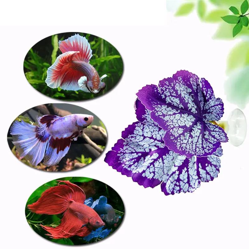 Aquarium Accessorie Artificial Plant Betta Leaf Simulation Fish Rest Spawning Leaf Fish Tank Landscape Fish Bed Aquarium Hammock
Aquarium Accessorie Artificial Plant Betta Leaf Simulation Fish Rest Spawning Leaf Fish Tank Landscape Fish Bed Aquarium Hammock