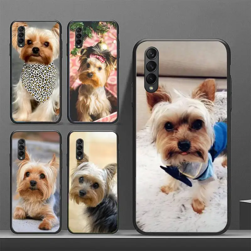 Cute pet Yorkshire Terrier dog Phone Case for Galaxy J2pro J4 J5 J6 J7 J5prime J72016 J82018 M10 M20 M30 funda Cover
Cute pet Yorkshire Terrier dog Phone Case for Galaxy J2pro J4 J5 J6 J7 J5prime J72016 J82018 M10 M20 M30 funda Cover