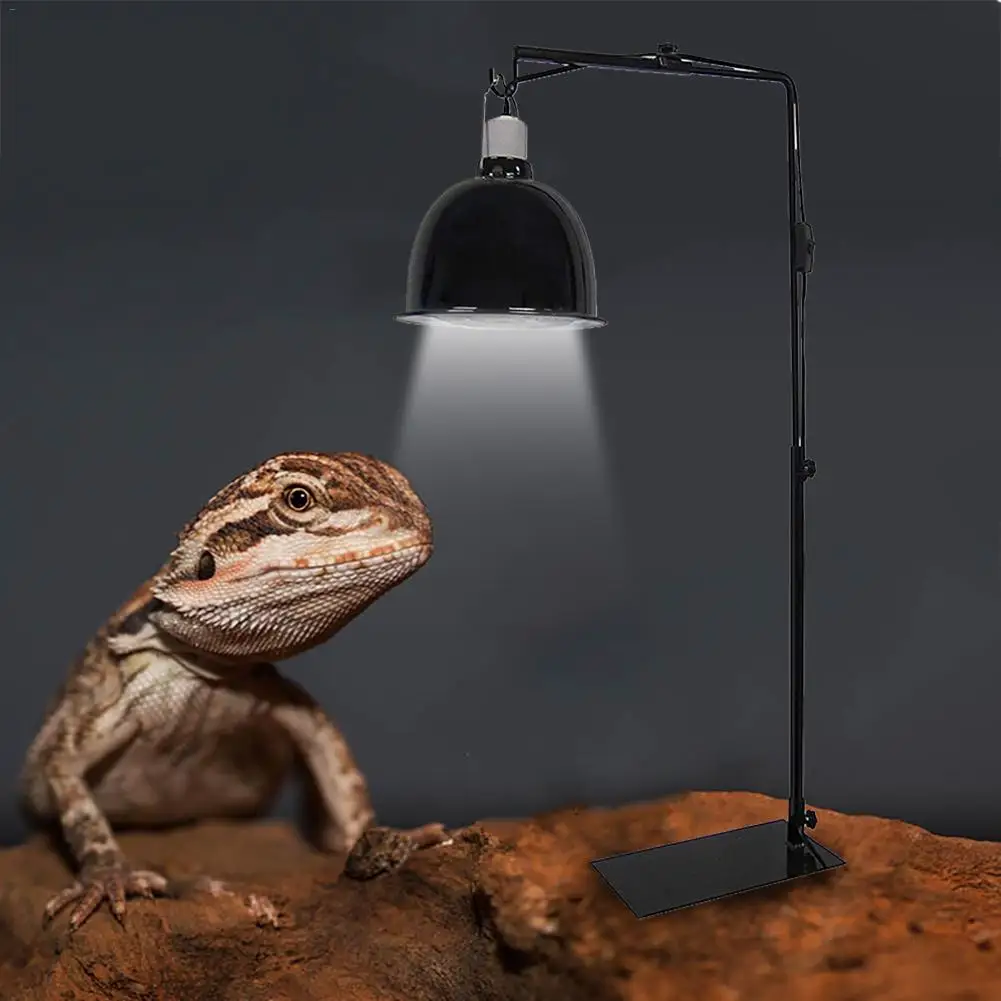 Reptile Lamp Stand Heating Lamp Holder Adjustable Telescopic Metal Floor Lamp Bracket for Succulent Lizard Tortoise high-quality
Reptile Lamp Stand Heating Lamp Holder Adjustable Telescopic Metal Floor Lamp Bracket for Succulent Lizard Tortoise high-quality