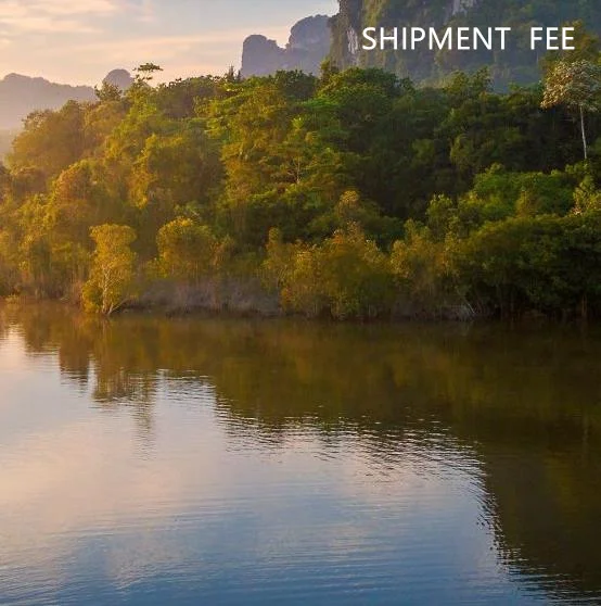 Дополнительная стоимость доставки
Дополнительная стоимость доставки