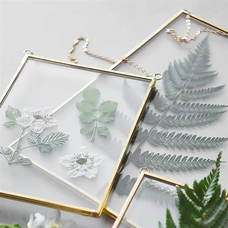 Hanging Glass Photo Prame Specimen Clip Decorative Picture Frame Specimen Holder Hanging Photo Frames Wall Decoration
Hanging Glass Photo Prame Specimen Clip Decorative Picture Frame Specimen Holder Hanging Photo Frames Wall Decoration